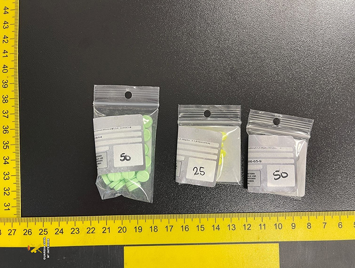 Interceptades 127 pastilles d'èxtasi enviades des d'Holanda a través d'una empresa de missatgeria de Constantí