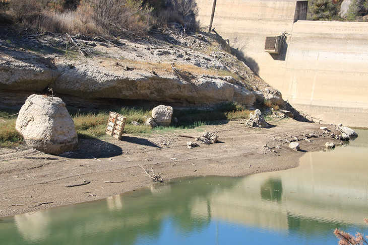 UP reclama un pla de reconversió per als qui han perdut arbrers fruiters i vinya per la sequera de 2023