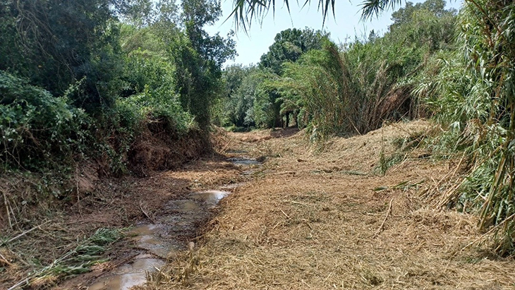 Finalitzen els treballs de manteniment i conservació de dos quilòmetres de lleres al torrent de Vallmoll
