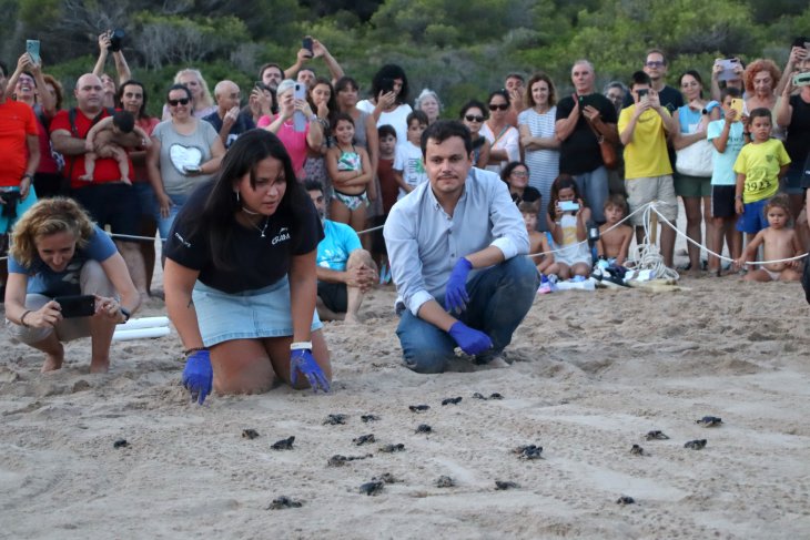 Alliberen les 36 tortugues nascudes a Tarragona que han necessitat incubació artificial