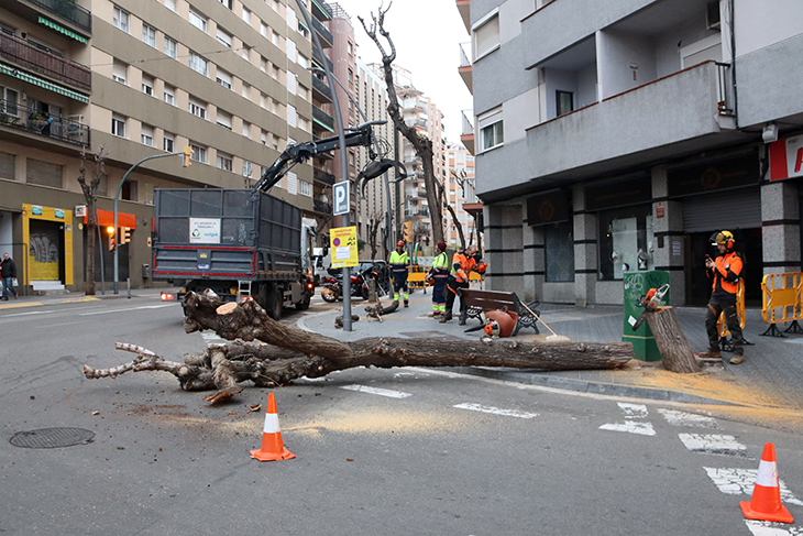 Talen vuit oms en mal estat al centre de Tarragona per evitar accidents en cas de temporal