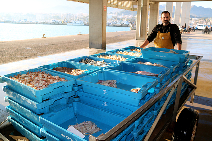 L'IPC cau sis dècimes al febrer i se situa al 2,4% al Camp de Tarragona i les Terres de l'Ebre