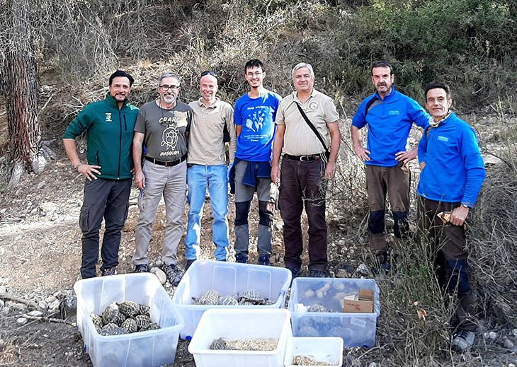 Alliberades una seixantena de tortugues mediterrànies al Parc Natural de la Serra de Montsant