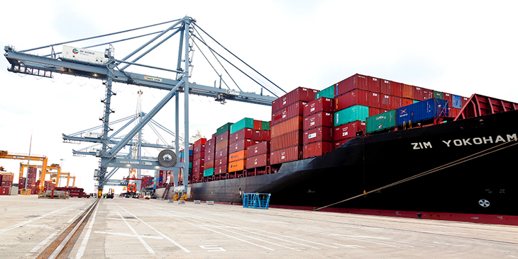 El Port de Tarragona recupera la concessió de la terminal de contenidors del moll d'Andalusia
