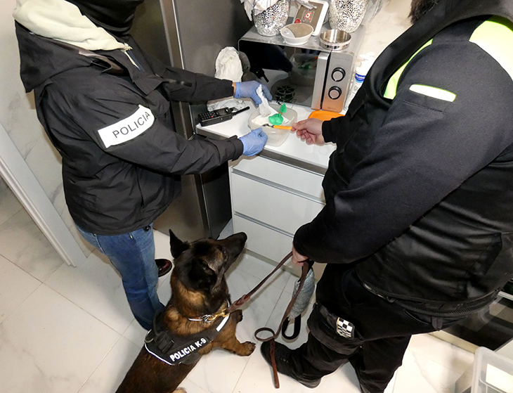 Dos dels arrestats acabaven d'estar a la presó pel mateix delicte