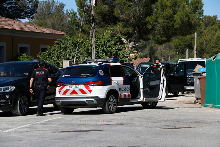Dispositiu policial a Cabra de Camp contra una organització dedicada al cultiu i tràfic de marihuana