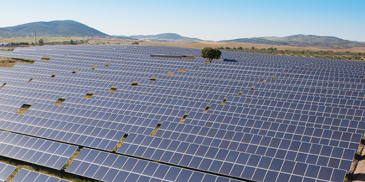 Tiren enrere una central fotovoltaica amb més de 53.000 panells solars a Vallmoll per l'impacte ambiental
