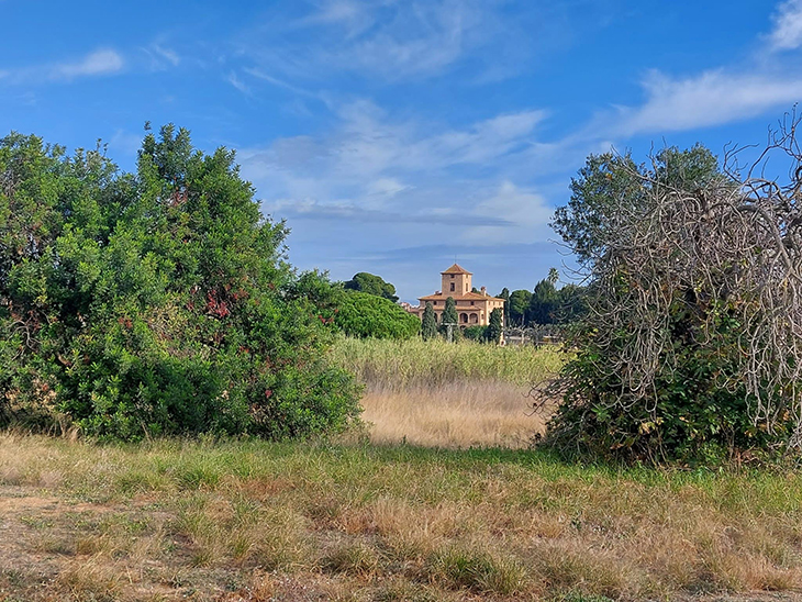 L'Ajuntament de Reus licita la creació d'una bassa naturalitzada que afavoreixi la biodiversitat
