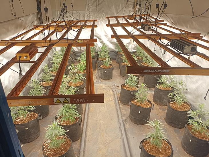 Detenen sis homes en una plantació interior de marihuana en una nau industrial de Reus