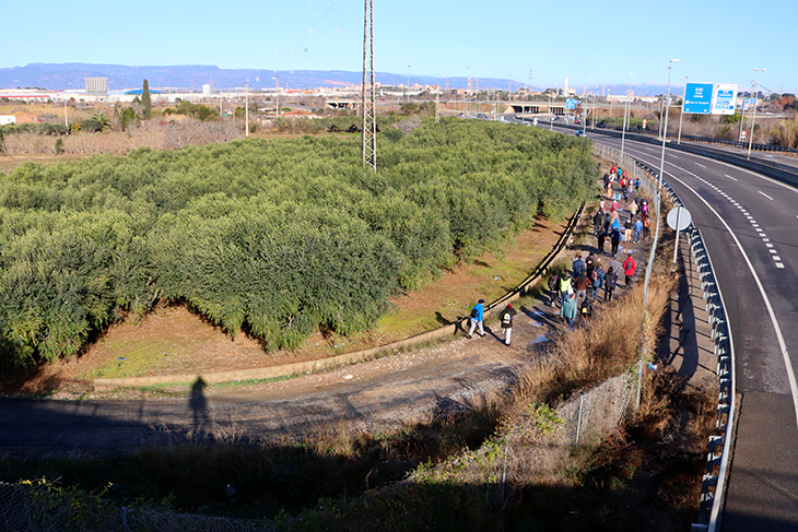 Una setantena de persones participen en una caminada per recordar i posar en valor l'horta de Tarragona