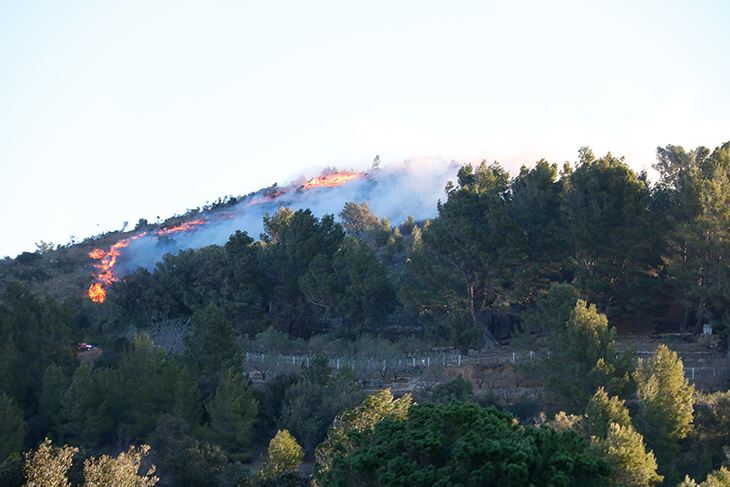 Els Bombers treballen amb 39 dotacions en un incendi que crema entre la Selva del Camp i Vilaplana
