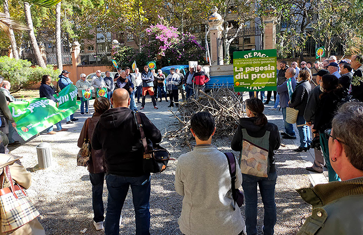 Unió de Pagesos reclama més agilitat en la tramitació de l'autorització de cremes de restes de poda i vegetals a Reus