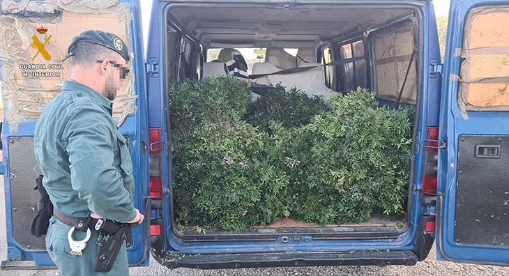 El Seprona tramita diverses denúncies per la recol·lecció de més de mitja tona de llentiscle al Perelló i l'Ampolla