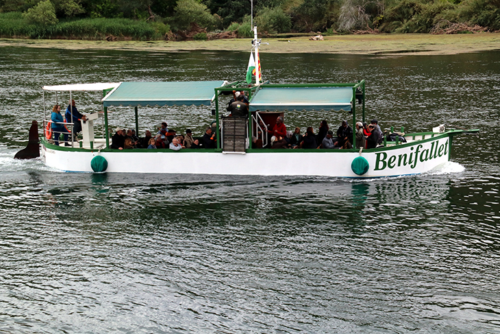 Les coves Meravelles i el llagut de Benifallet reben prop de 38.000 visitants durant 2022