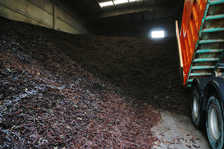Tres detinguts per robar 500 quilos garrofes de l'interior del magatzem d'una finca de l'Ametlla de Mar