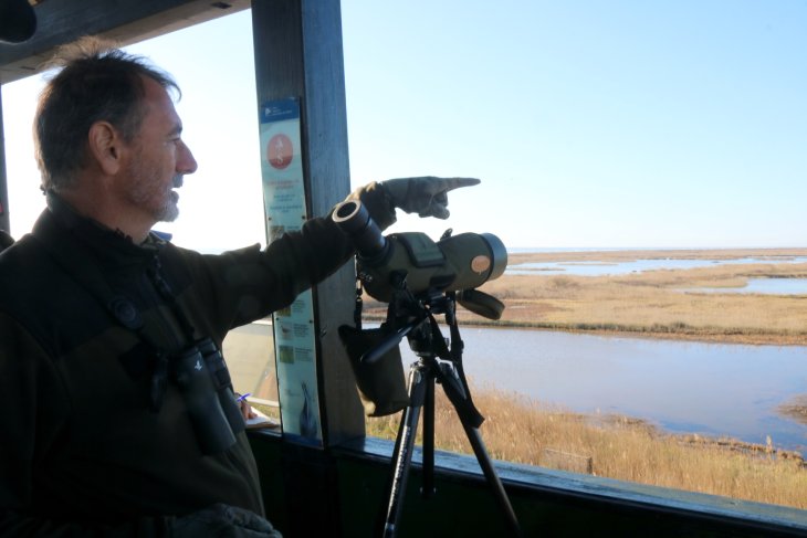 L'assecament dels arrossars durant l'hivern empeny a la baixa les xifres d'ocells hivernants al delta de l'Ebre