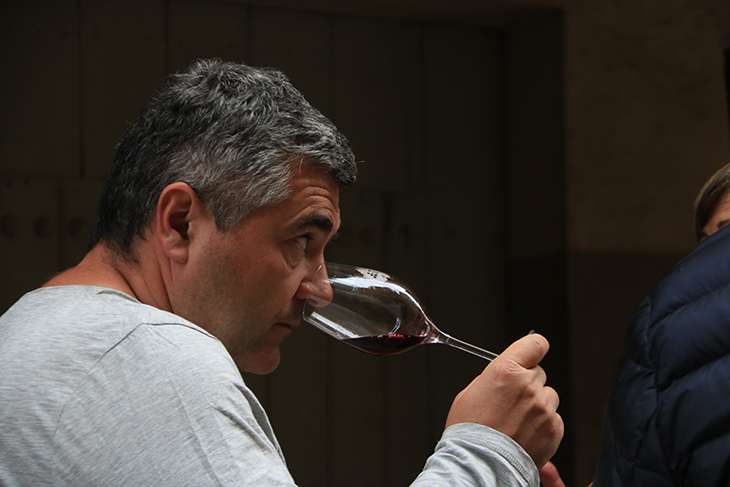 Els viticultors escullen els nous membres de la DO Terra Alta amb una participació del 45%