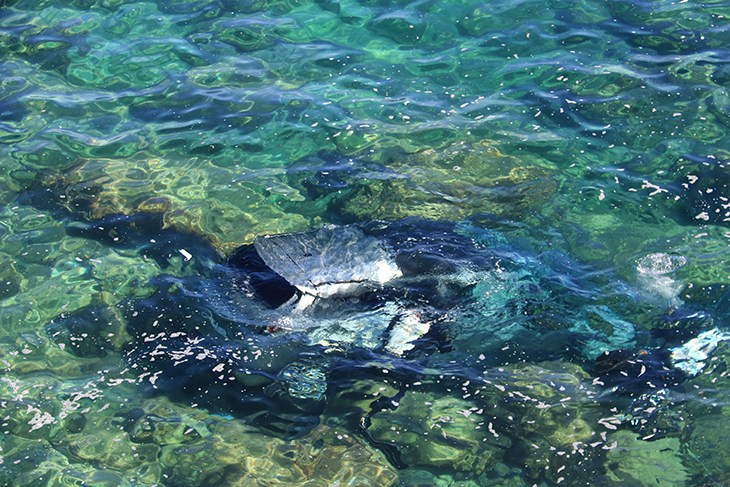 El conductor del vehicle que va caure per un precipici a l'Ametlla de Mar podria haver patit un brot psicòtic