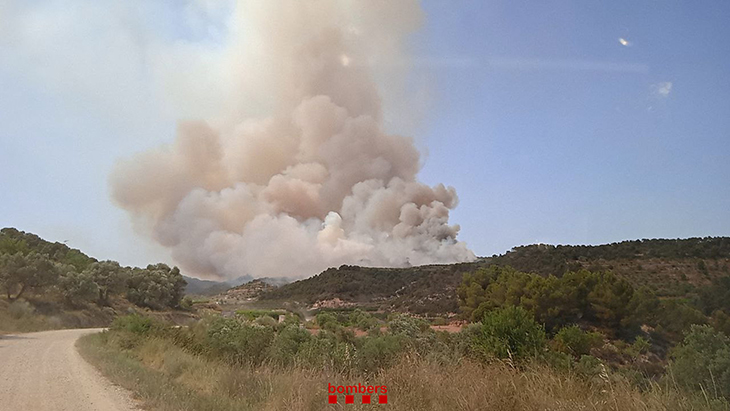 Declarat un incendi a Corbera d'Ebre