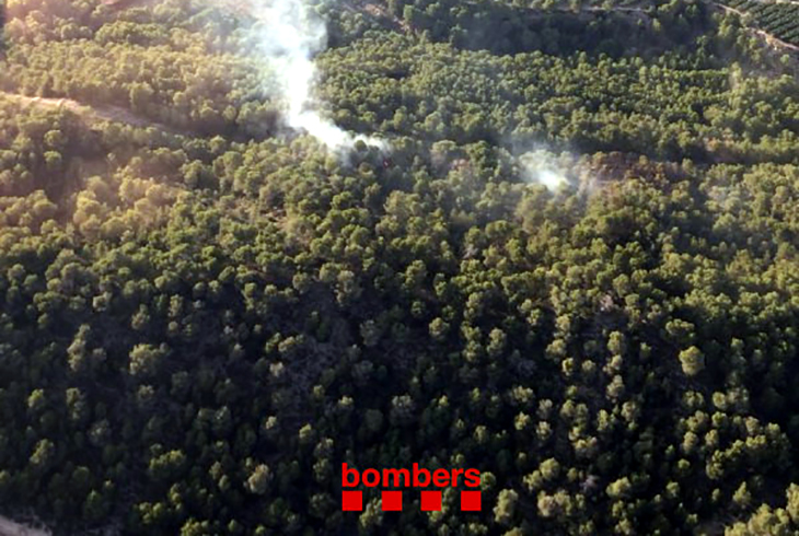 incendi forestal de Móra d'Ebre