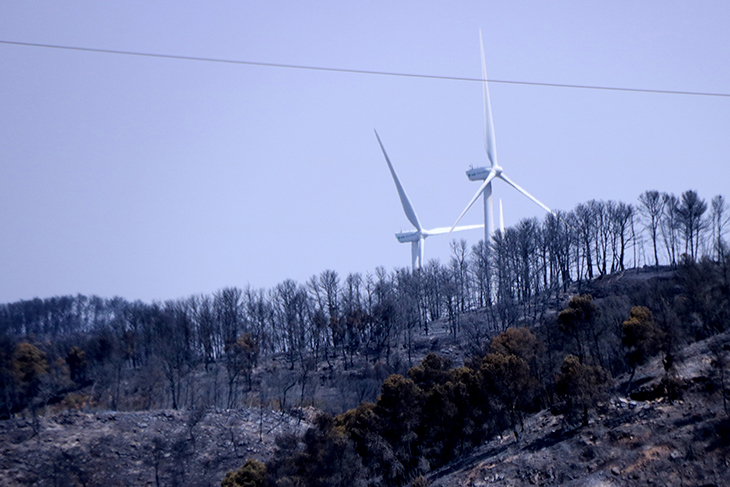 Controlat l’incendi forestal de Corbera d’Ebre