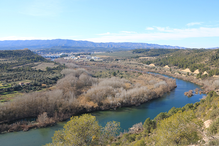 La restauració ambiental del meandre de Flix comença amb les actuacions prèvies