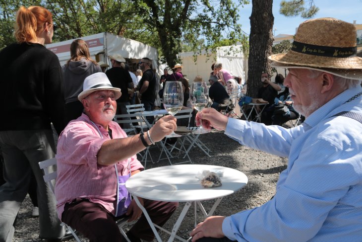 El sector vitivinícola del Priorat mostra múscul a la Fira del vi de Falset a l'expectativa de les pluges primaverals