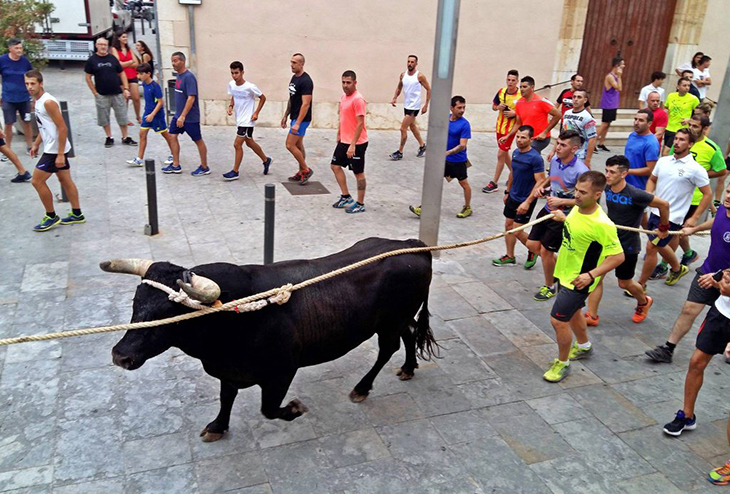 Dos detinguts a Santa Bàrbara per amenaçar amb ganivets dos joves durant un acte de festes majors