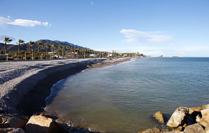 Bandera vermella a la platja de les Cases d'Alcanar per la possible presència d'un tauró