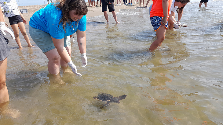 Alliberen sis exemplars de tortuga careta al Parc Natural del Delta de l'Ebre