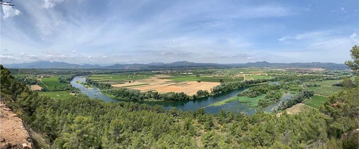 Signen un protocol de col·laboració per millorar ambientalment el riu Ebre entre Ascó i Miravet