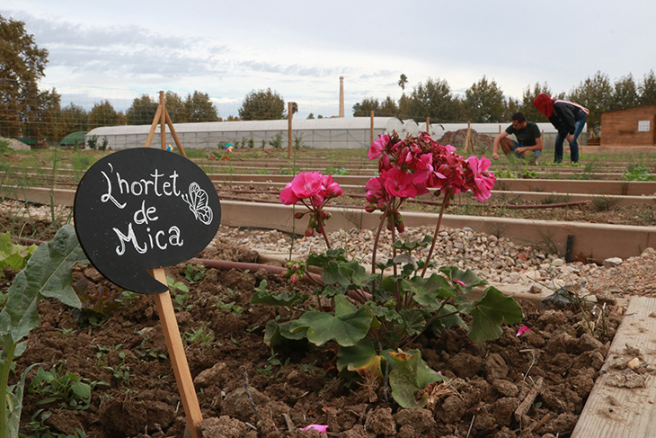 De terrenys heretats a horts socials i comunitaris: una dotzena de persones cultivaran ‘Lo Tros’ d’Amposta