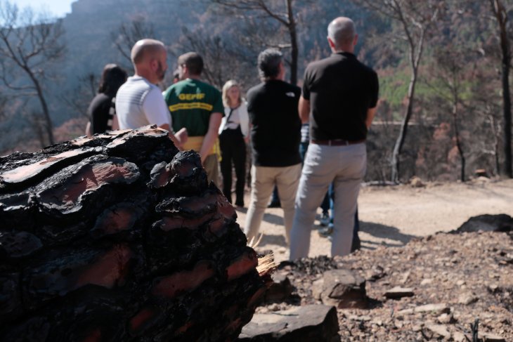 Les actuacions a la zona cremada de l'incendi de Paüls començaran a la tardor per evitar l'erosió del terreny