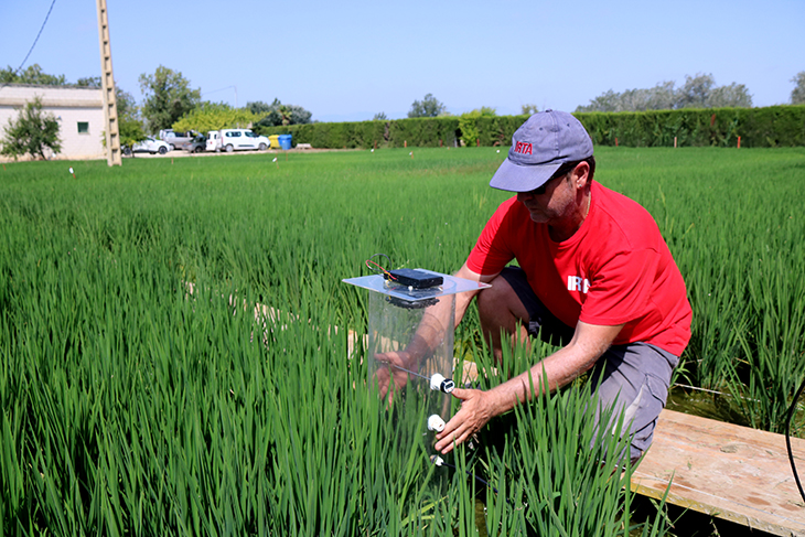 Fertilització orgànica, cobertes vegetals o evitar llaurar: l'agricultura regenerativa s'obre pas amb el canvi climàtic