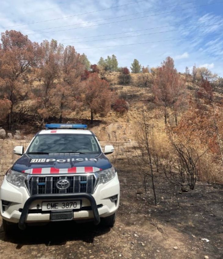 Detinguts in fraganti quatre lladres multireincidents al Baix Ebre per furt