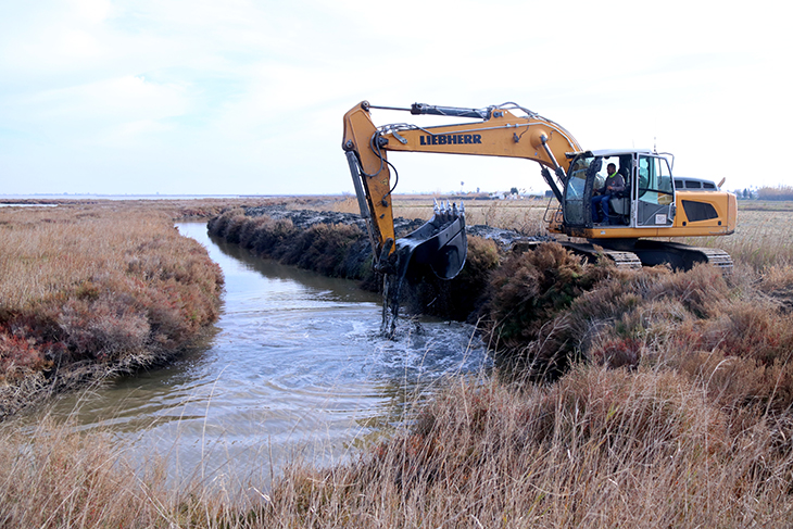 Aixequen i reforcen les guardes de les llacunes del delta de l'Ebre per evitar l'entrada d'aigua marina als arrossars