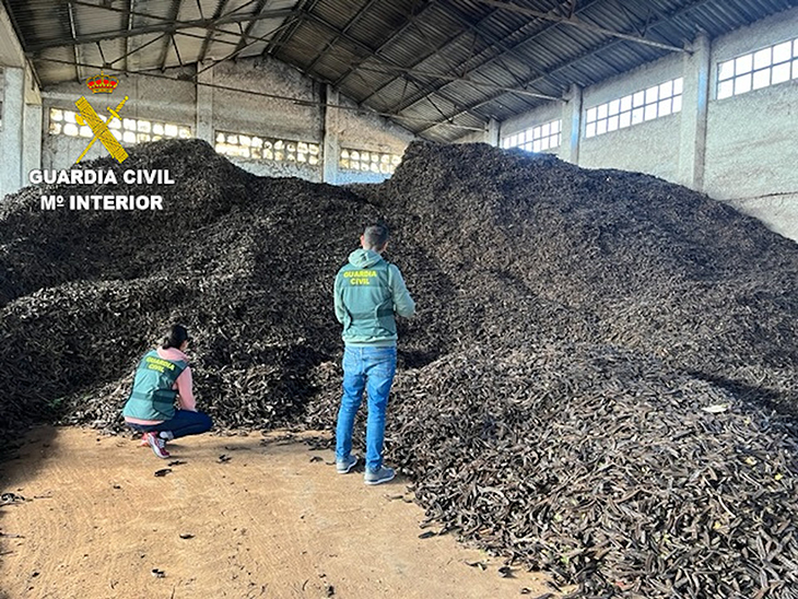 Detenen un home per robar prop de 8.000 quilos de garrofes al Perelló