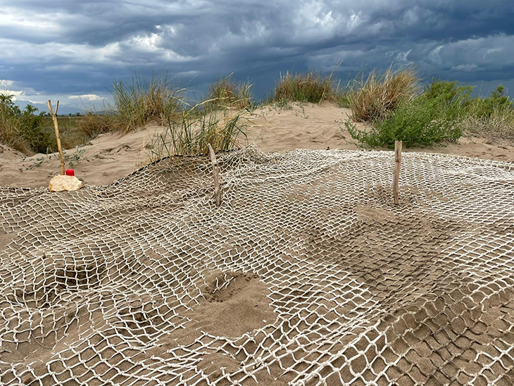 Localitzen al delta de l'Ebre el primer niu de tortugues careta de la temporada de la costa catalana