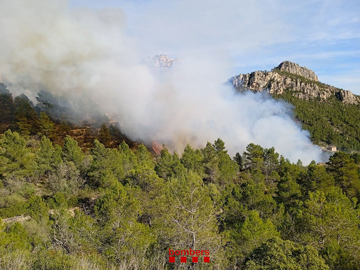 Controlat el foc forestal entre Xerta i Paüls, que ha afectat 5,18 hectàrees segons els Agents Rurals