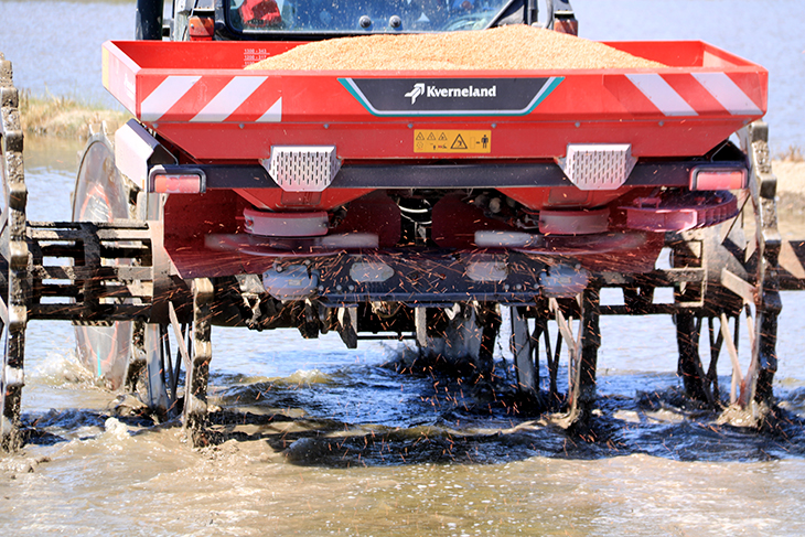Els arrossaires del Delta sembren aquest maig amb més incerteses que esperança per les restriccions d'aigua